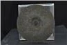 grinding disc back side